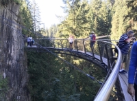 Vista Ponte Suspensa Floresta Vancouver Canadá